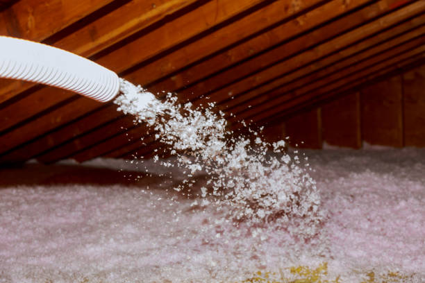 Best Blown-in Insulation in Henderson, NC
