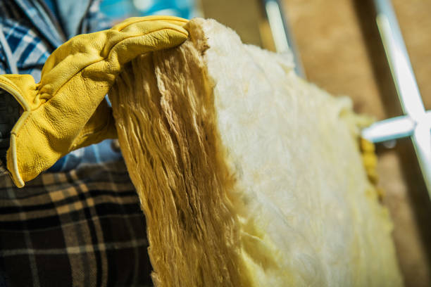 Best Commercial Insulation in Henderson, NC