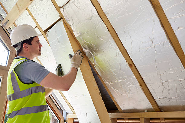 Best Eco-Friendly Insulation in Henderson, NC